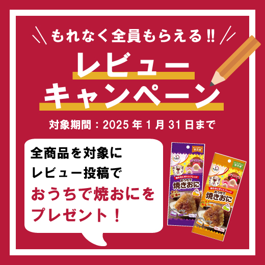 レビューキャンペーン2025